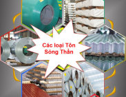 Giá Tôn Sóng Thần