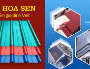 So Sánh Tôn Hoa Sen Và Tôn Zacs