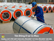 Bảng báo giá tôn Đông Á tại Cà Mau